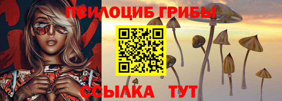Галлюциногенные грибы мицелий  Вход с VPN  Ишимбай 